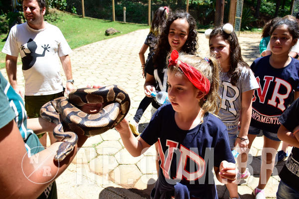 Buy your photos of the eventNR1 Ol� 6� Ano - 30 a 03/10/18 on Fotop