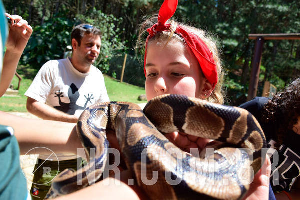 Buy your photos of the eventNR1 Ol� 6� Ano - 30 a 03/10/18 on Fotop