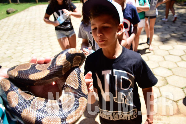 Buy your photos of the eventNR1 Ol� 6� Ano - 30 a 03/10/18 on Fotop