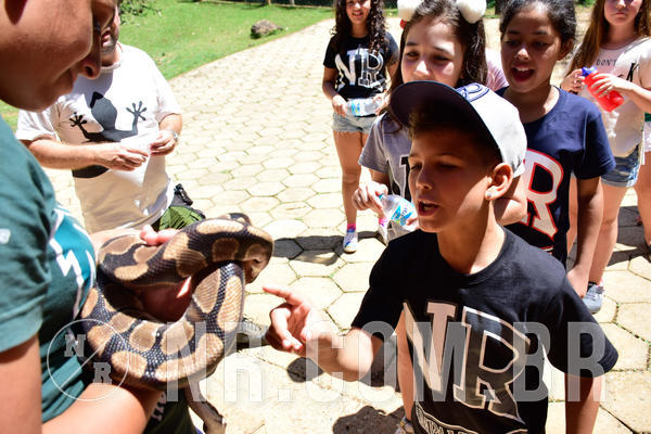 Buy your photos of the eventNR1 Ol� 6� Ano - 30 a 03/10/18 on Fotop