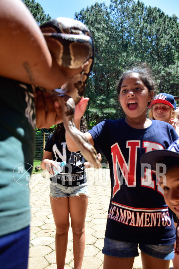 Buy your photos of the eventNR1 Ol� 6� Ano - 30 a 03/10/18 on Fotop