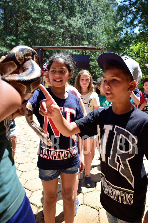 Buy your photos of the eventNR1 Ol� 6� Ano - 30 a 03/10/18 on Fotop