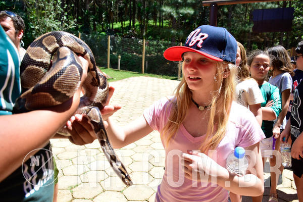 Buy your photos of the eventNR1 Ol� 6� Ano - 30 a 03/10/18 on Fotop