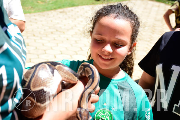 Buy your photos of the eventNR1 Ol� 6� Ano - 30 a 03/10/18 on Fotop