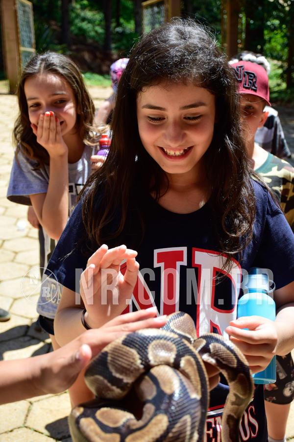 Buy your photos of the eventNR1 Ol� 6� Ano - 30 a 03/10/18 on Fotop