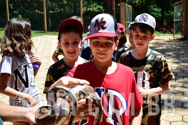 Buy your photos of the eventNR1 Ol� 6� Ano - 30 a 03/10/18 on Fotop