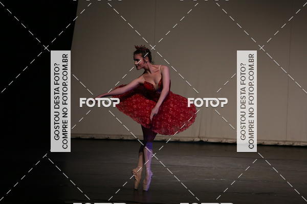 Buy your photos of the eventFESTIVAL LIVRE CAPZIO SUZANO (SBADO) on Fotop