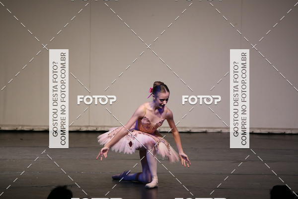 Buy your photos of the eventFESTIVAL LIVRE CAP�ZIO SUZANO (S�BADO) on Fotop