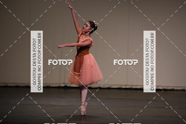 Buy your photos of the eventFESTIVAL LIVRE CAPZIO SUZANO (SBADO) on Fotop