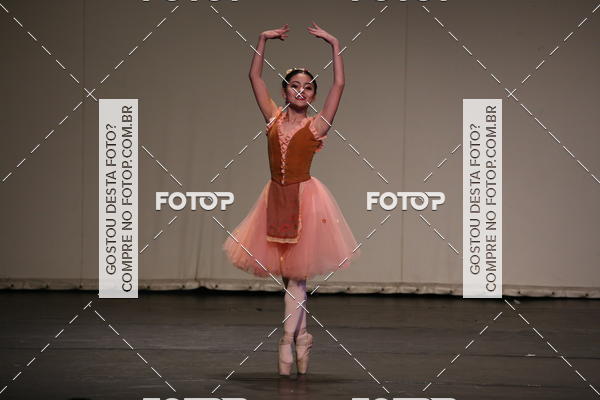 Buy your photos of the eventFESTIVAL LIVRE CAP�ZIO SUZANO (S�BADO) on Fotop