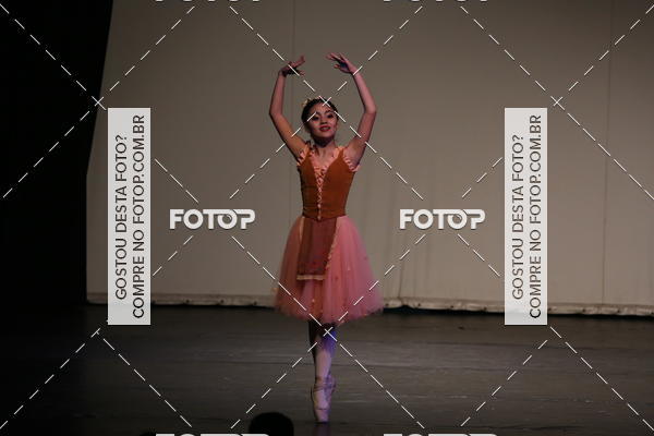 Buy your photos of the eventFESTIVAL LIVRE CAP�ZIO SUZANO (S�BADO) on Fotop