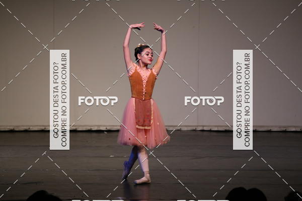 Buy your photos of the eventFESTIVAL LIVRE CAP�ZIO SUZANO (S�BADO) on Fotop