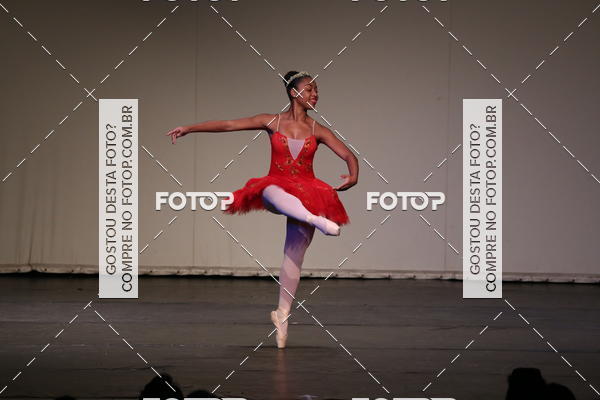 Buy your photos of the eventFESTIVAL LIVRE CAP�ZIO SUZANO (S�BADO) on Fotop