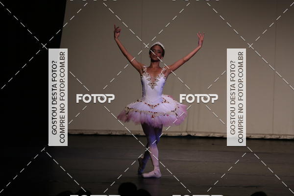 Buy your photos of the eventFESTIVAL LIVRE CAP�ZIO SUZANO (S�BADO) on Fotop