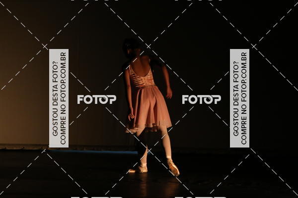 Buy your photos of the eventFESTIVAL LIVRE CAP�ZIO SUZANO (S�BADO) on Fotop