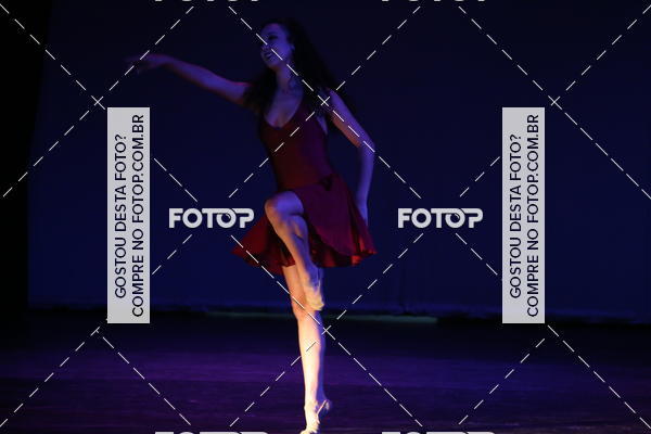 Buy your photos of the eventFESTIVAL LIVRE CAP�ZIO SUZANO (S�BADO) on Fotop
