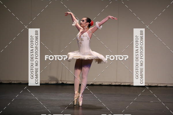 Buy your photos of the eventFESTIVAL LIVRE CAP�ZIO SUZANO (S�BADO) on Fotop