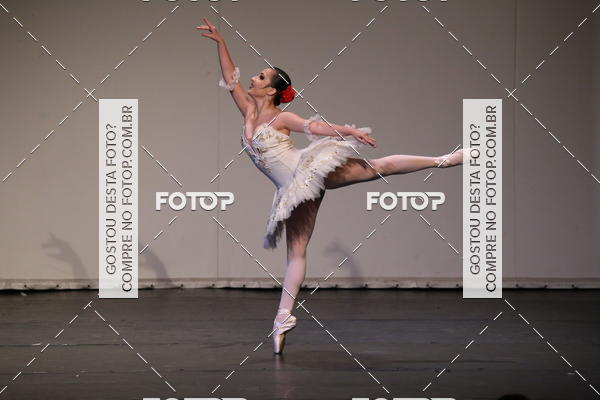 Buy your photos of the eventFESTIVAL LIVRE CAP�ZIO SUZANO (S�BADO) on Fotop