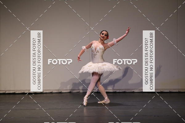 Buy your photos of the eventFESTIVAL LIVRE CAP�ZIO SUZANO (S�BADO) on Fotop