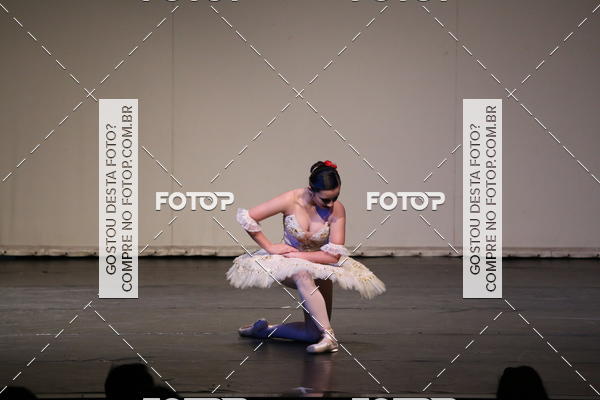 Buy your photos of the eventFESTIVAL LIVRE CAP�ZIO SUZANO (S�BADO) on Fotop