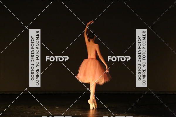 Buy your photos of the eventFESTIVAL LIVRE CAP�ZIO SUZANO (S�BADO) on Fotop