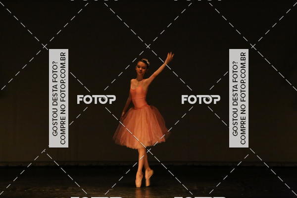 Buy your photos of the eventFESTIVAL LIVRE CAP�ZIO SUZANO (S�BADO) on Fotop