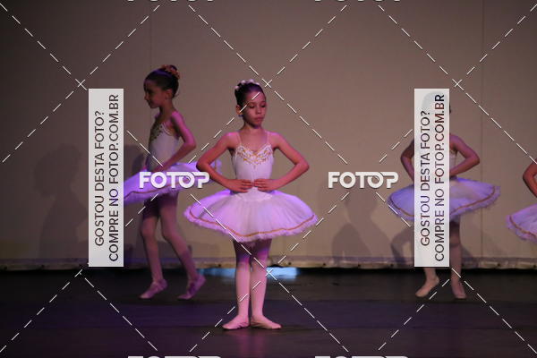 Buy your photos of the eventFESTIVAL LIVRE CAPZIO SUZANO (DOMINGO) on Fotop