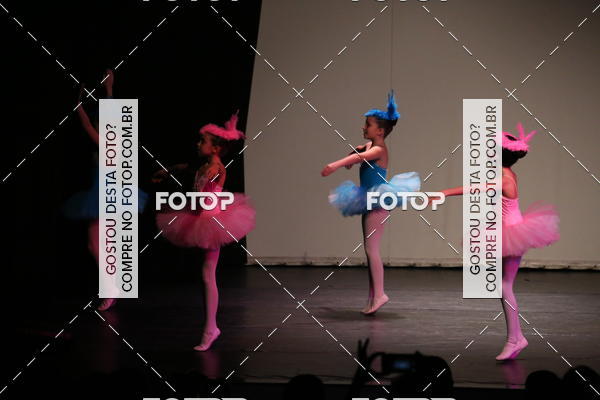 Buy your photos of the eventFESTIVAL LIVRE CAPZIO SUZANO (DOMINGO) on Fotop