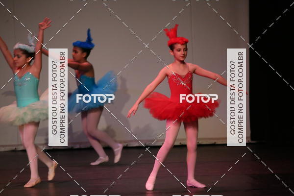 Buy your photos of the eventFESTIVAL LIVRE CAPZIO SUZANO (DOMINGO) on Fotop