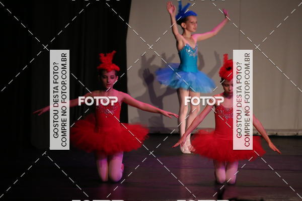 Buy your photos of the eventFESTIVAL LIVRE CAPZIO SUZANO (DOMINGO) on Fotop