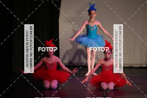 Buy your photos of the eventFESTIVAL LIVRE CAPZIO SUZANO (DOMINGO) on Fotop