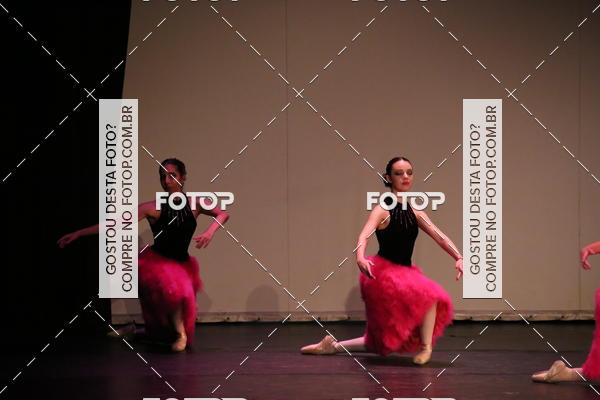 Buy your photos of the eventFESTIVAL LIVRE CAPZIO SUZANO (DOMINGO) on Fotop