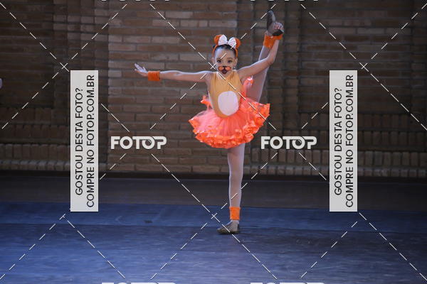Buy your photos of the eventVI TFD Campos do Jordo on Fotop
