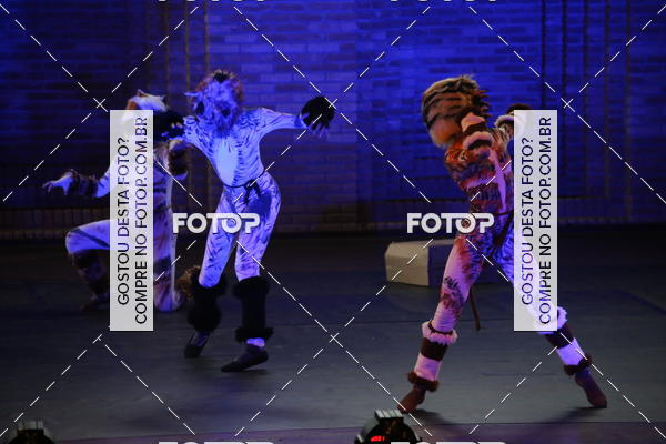 Buy your photos of the eventVI TFD Campos do Jordo on Fotop