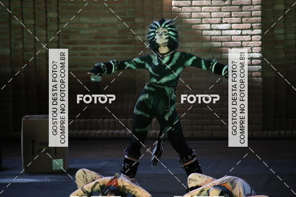 Buy your photos of the eventVI TFD Campos do Jordo on Fotop