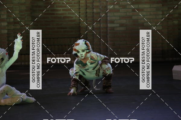 Buy your photos of the eventVI TFD Campos do Jordo on Fotop