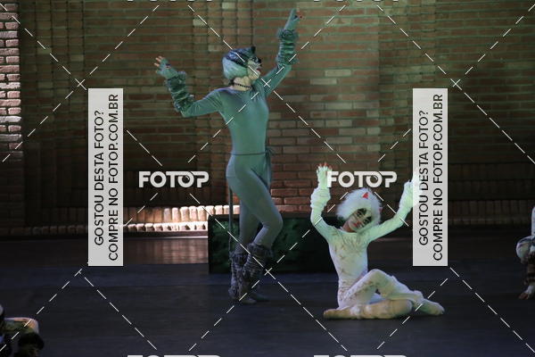 Buy your photos of the eventVI TFD Campos do Jordo on Fotop