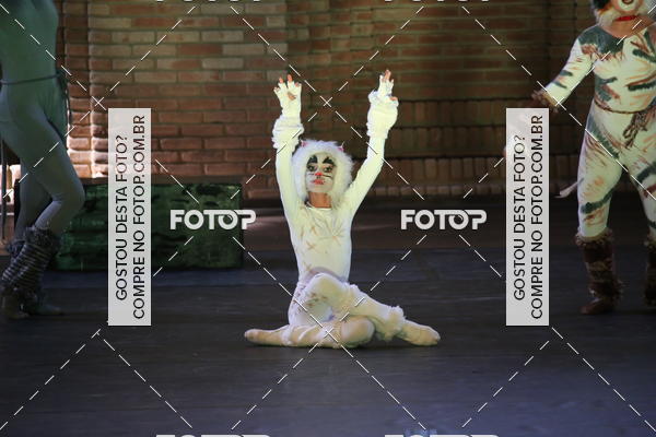 Buy your photos of the eventVI TFD Campos do Jordo on Fotop