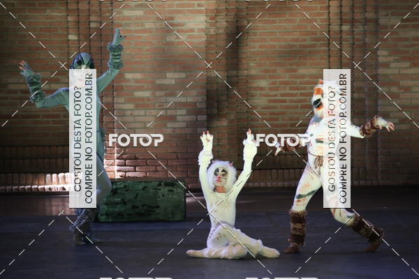 Buy your photos of the eventVI TFD Campos do Jordo on Fotop
