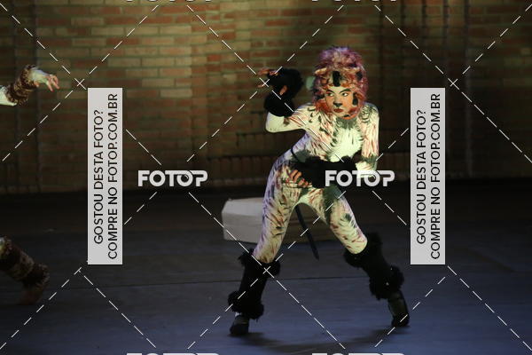 Buy your photos of the eventVI TFD Campos do Jordo on Fotop