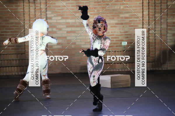 Buy your photos of the eventVI TFD Campos do Jordo on Fotop