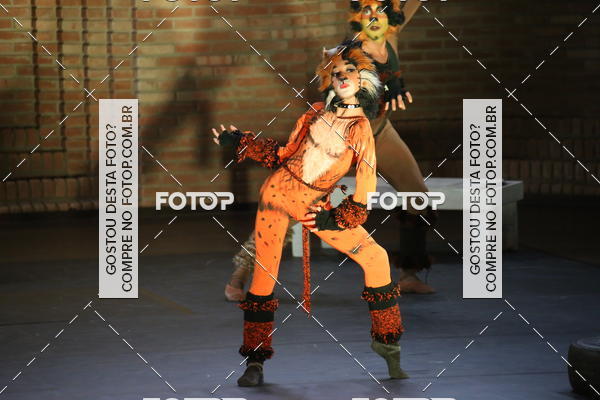 Buy your photos of the eventVI TFD Campos do Jordo on Fotop