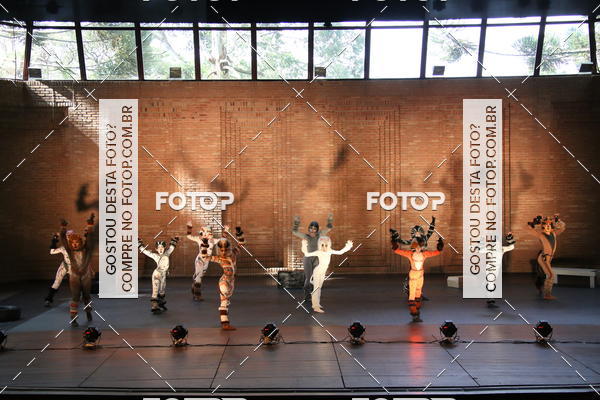Buy your photos of the eventVI TFD Campos do Jordo on Fotop