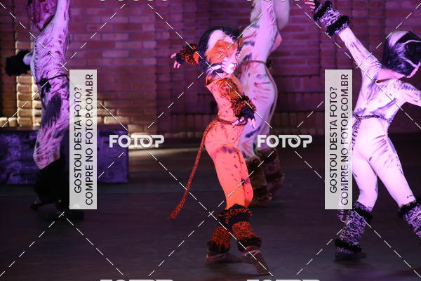 Buy your photos of the eventVI TFD Campos do Jordo on Fotop