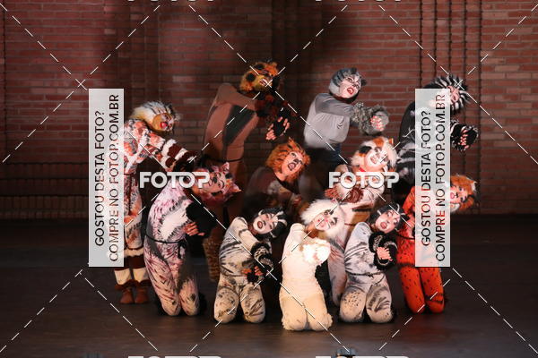 Buy your photos of the eventVI TFD Campos do Jordo on Fotop