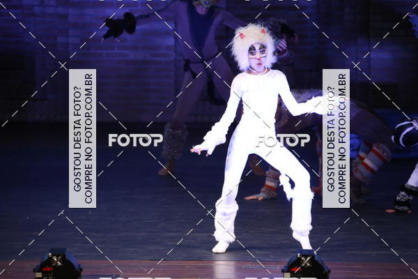 Buy your photos of the eventVI TFD Campos do Jordo on Fotop