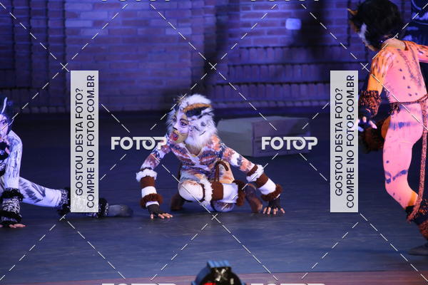 Buy your photos of the eventVI TFD Campos do Jordo on Fotop