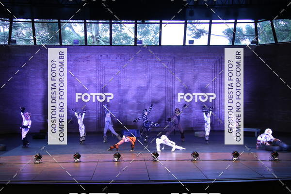 Buy your photos of the eventVI TFD Campos do Jordo on Fotop
