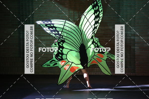 Buy your photos of the eventVI TFD Campos do Jordo on Fotop