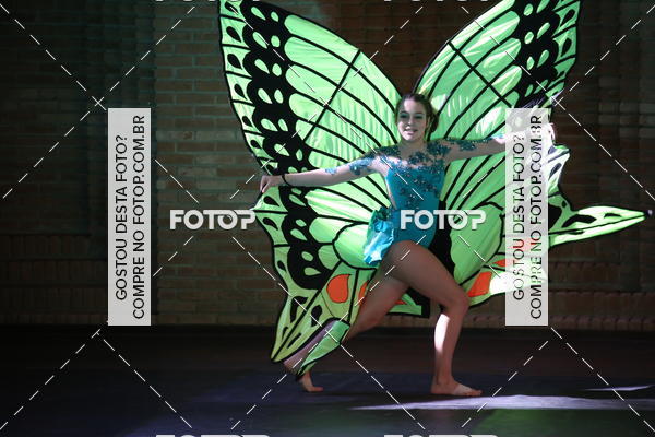 Buy your photos of the eventVI TFD Campos do Jordo on Fotop